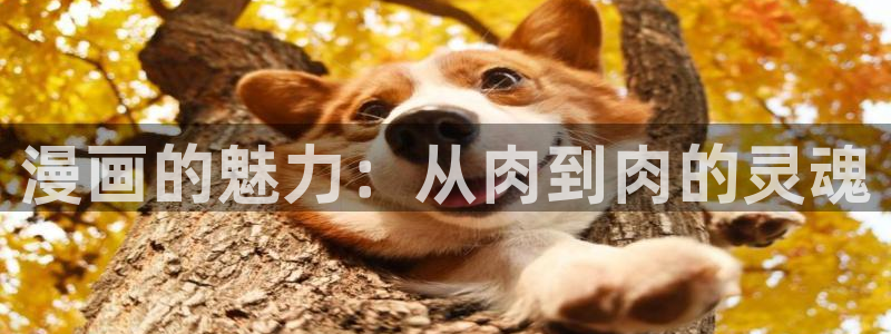 yy漫画入口在线：漫画的魅力：从肉到肉的灵魂
